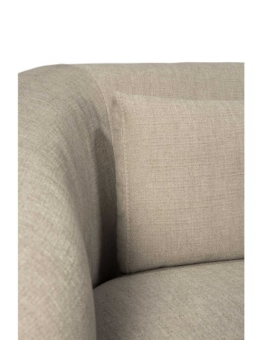 Coussins de dossier pour canapé